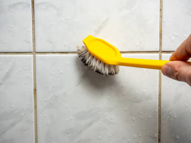 Best Toxic Mold Removal  in Redwood Falls, MN