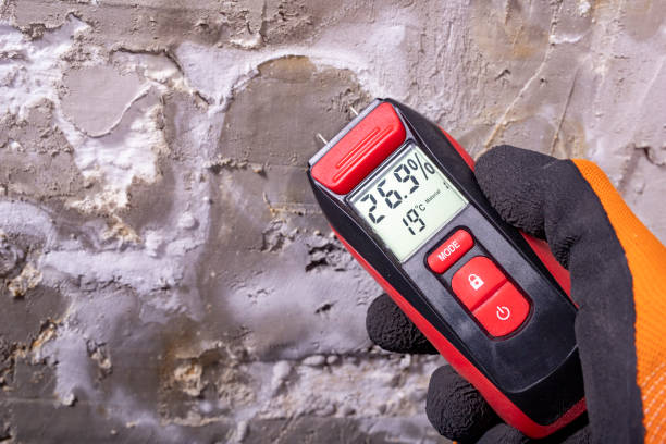 Best Crawl Space Mold Removal  in Redwood Falls, MN