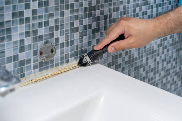 Best Certified Mold Removal  in Redwood Falls, MN